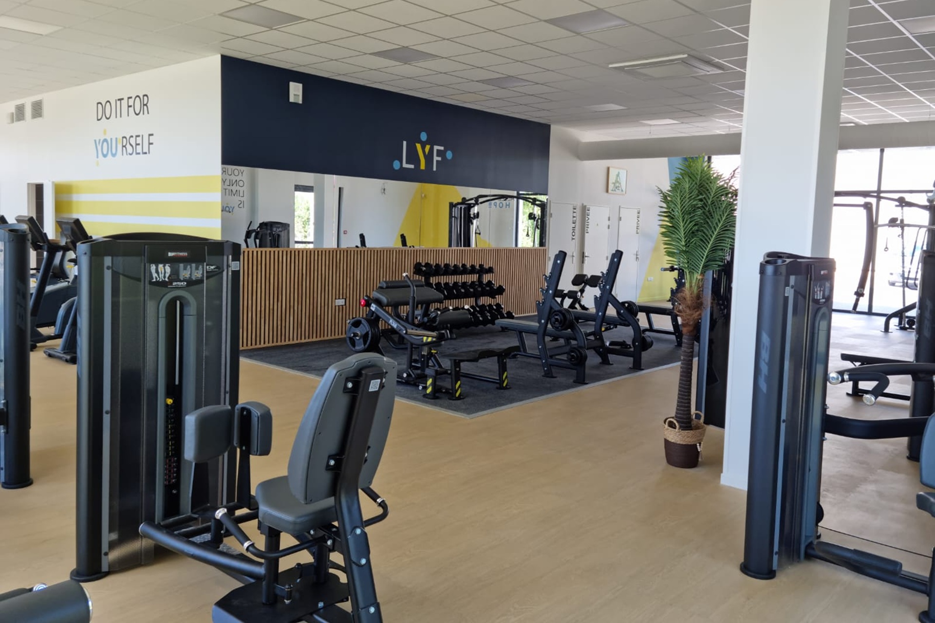 Franchise Like You Fitness and Coaching